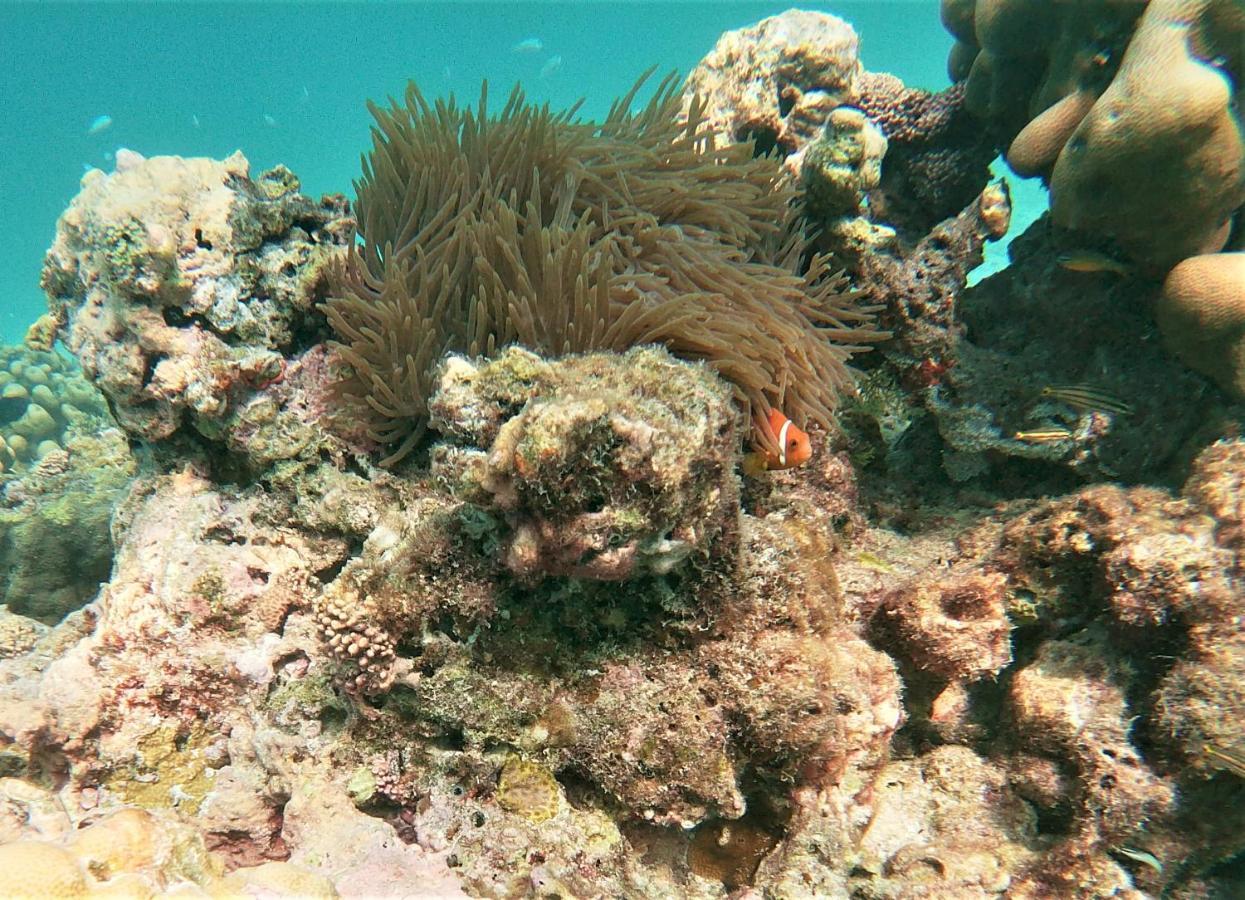 فندق One The Island نايفارو المظهر الخارجي الصورة