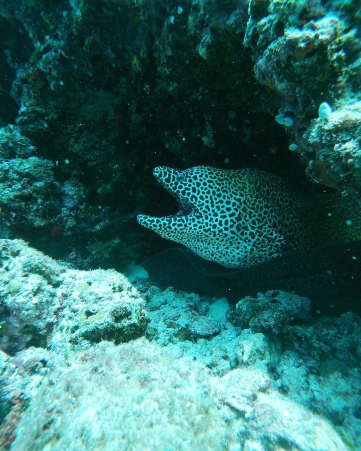 فندق One The Island نايفارو المظهر الخارجي الصورة