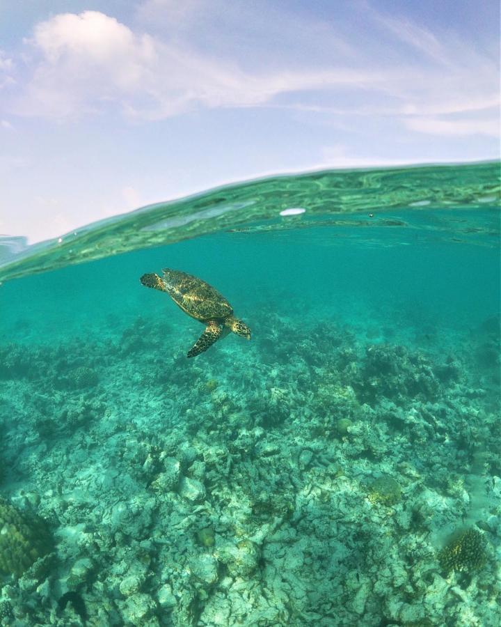 فندق One The Island نايفارو المظهر الخارجي الصورة