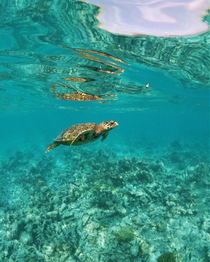 فندق One The Island نايفارو المظهر الخارجي الصورة