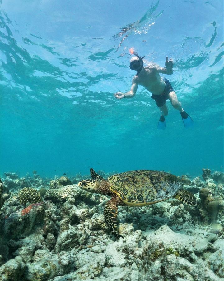 فندق One The Island نايفارو المظهر الخارجي الصورة