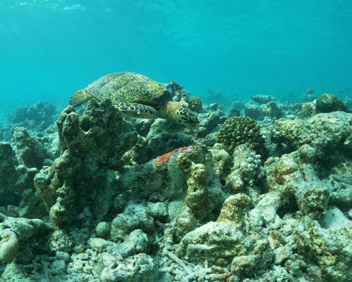 فندق One The Island نايفارو المظهر الخارجي الصورة