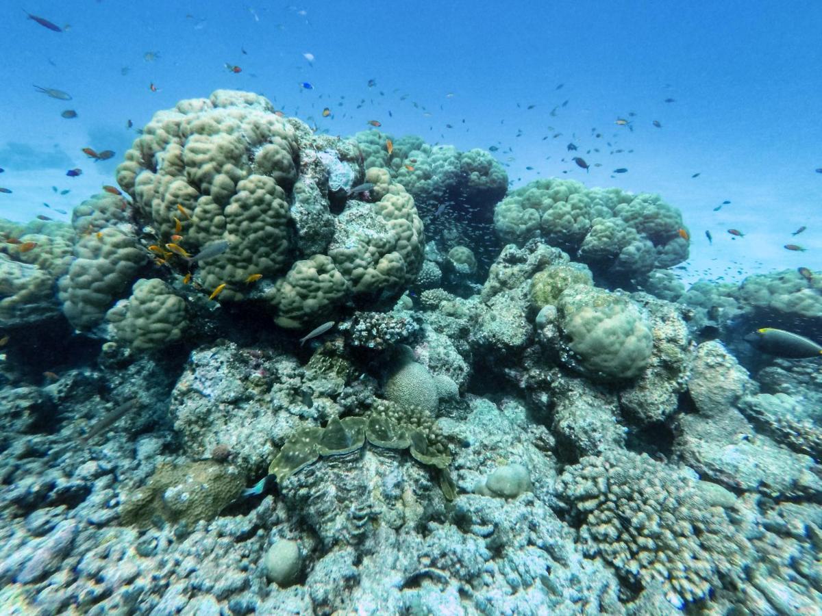 فندق One The Island نايفارو المظهر الخارجي الصورة