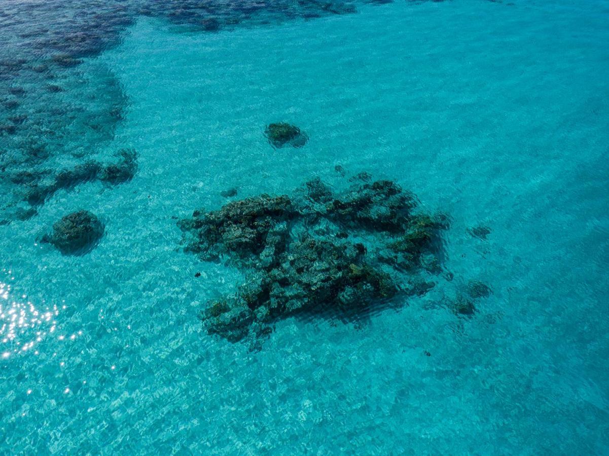 فندق One The Island نايفارو المظهر الخارجي الصورة