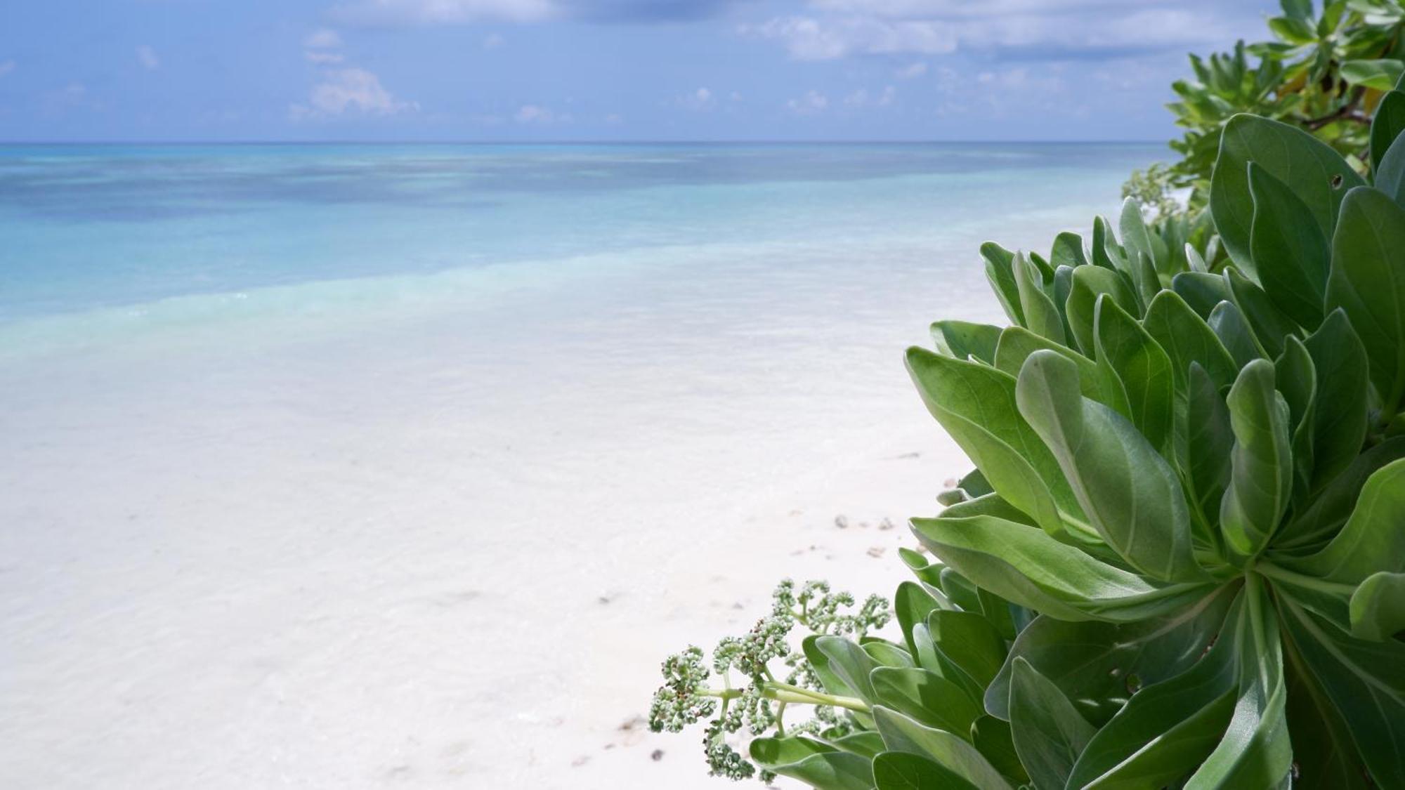 فندق One The Island نايفارو المظهر الخارجي الصورة